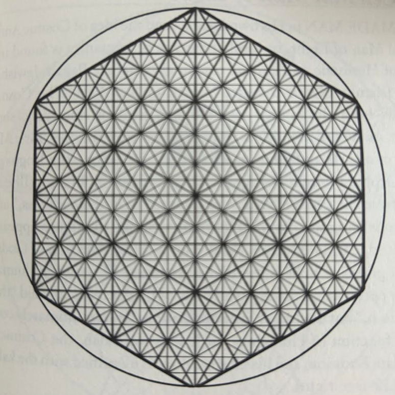 The Net